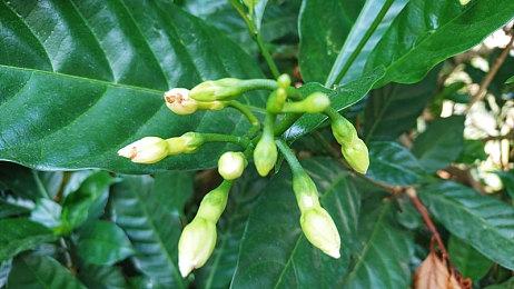 《不死者之王：逃离纳萨力克大坟墓》6月16日上线 支持简体中文